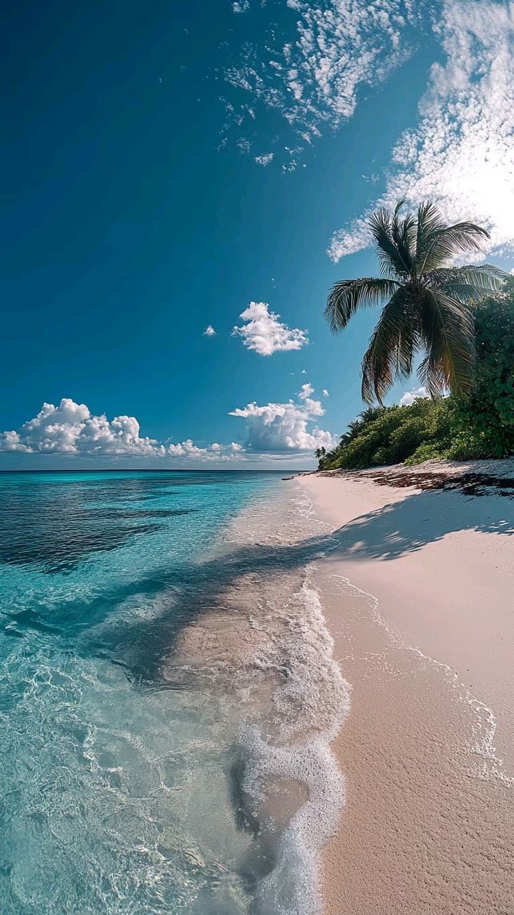 Le Mer